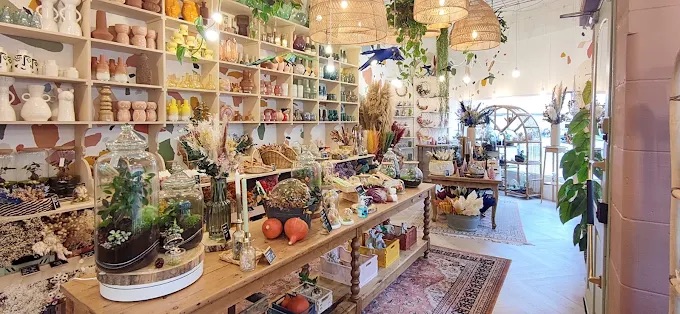 La boutique de fleurs séchées à Strasbourg L'atelier Tchungle